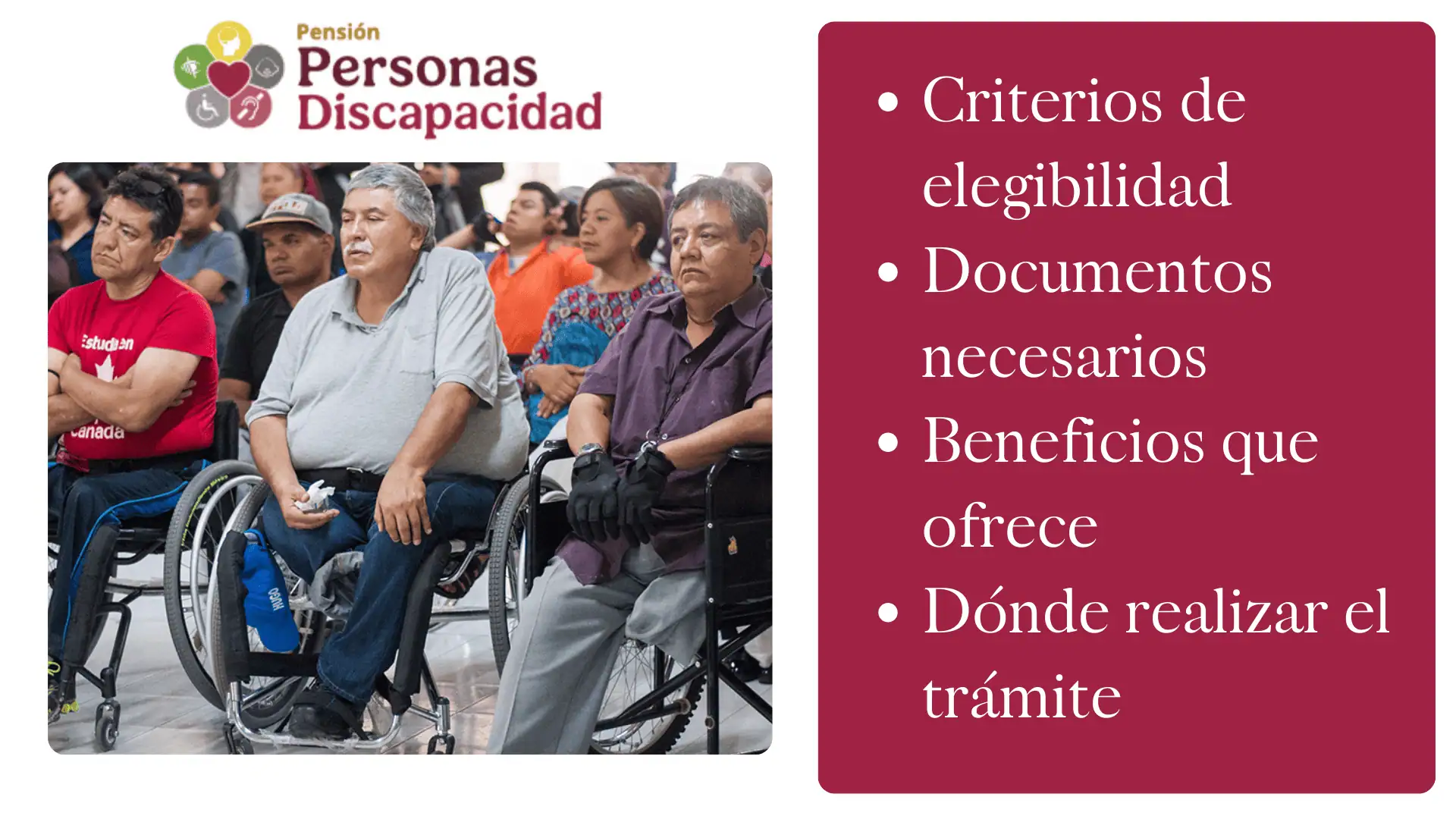 PENSION PERSONAS CON DISCAPACIDAD (1)